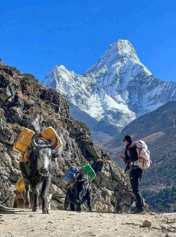 Everest three pass trek
