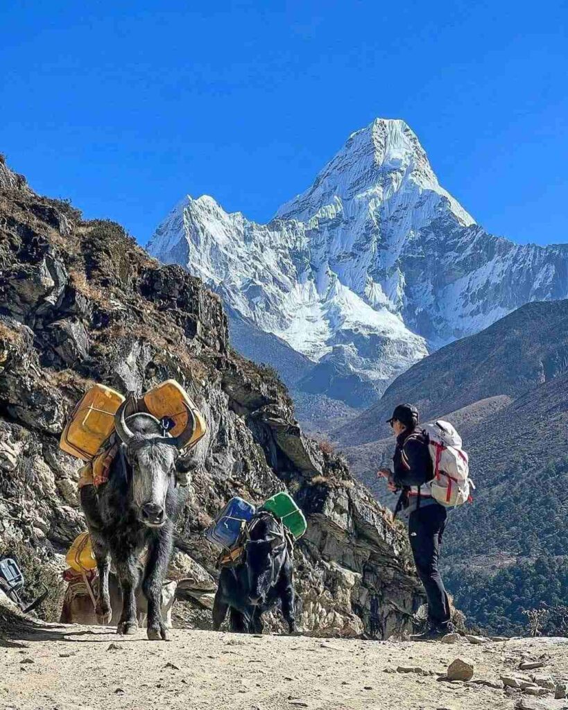 Everest three pass trek