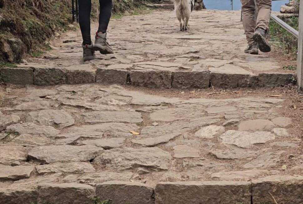 Travel Insurance for the Everest Base Camp Trek