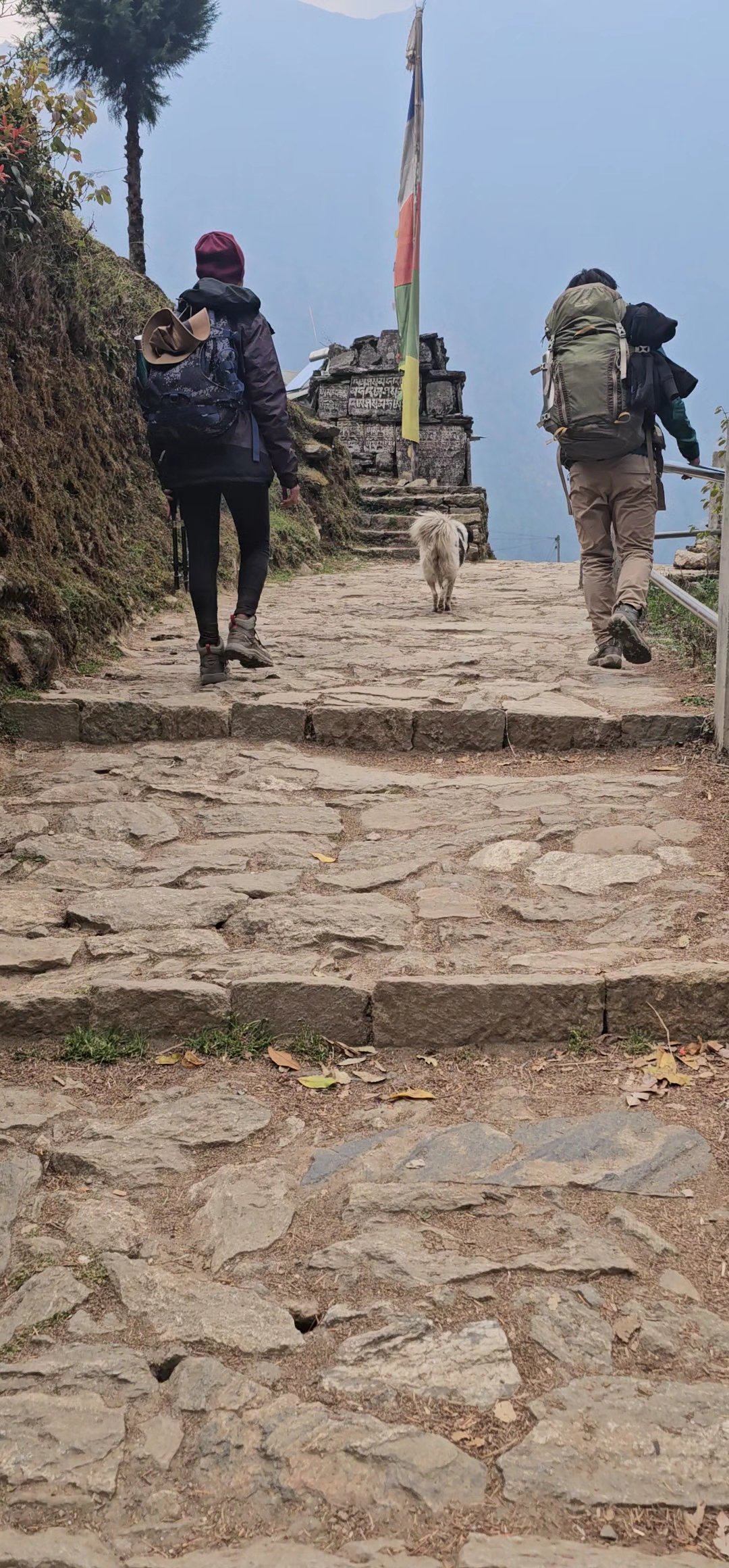 Travel Insurance for the Everest Base Camp Trek
